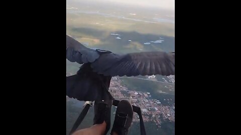Paraglider living the dream! || World Global