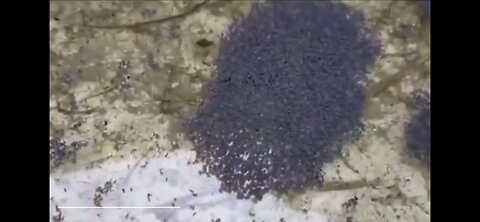 Graphene Oxide Found Self Assembling In Rain Puddle