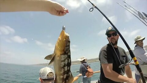 Daily Double Sportfishing Calico Bass fishing using #hookupbaits 2!