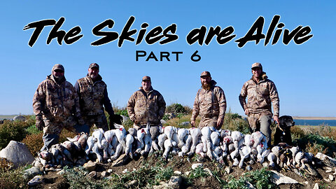 SNOWS and DUCKS in CANADA! - Waterfowl Hunting SASKATCHEWAN - The Skies are Alive P.6