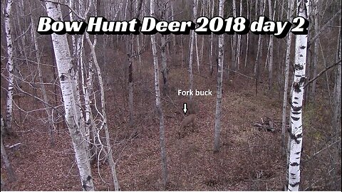 Bow Hunt Deer 2018 day 2