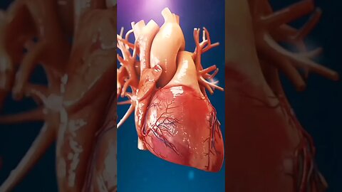 HUMAN HEART ANATOMY 3D MEDICAL ANIMATION||HUMAN HEART FUNCTION||HUMAN 3D HEART FUNCTION