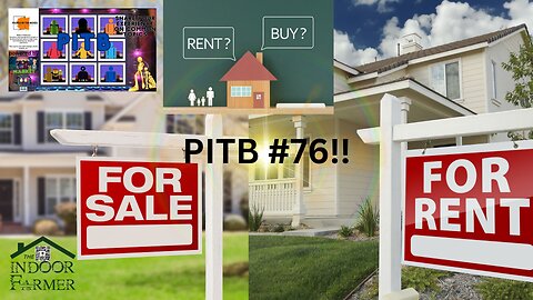 PITB #76! Both Have Pros & Cons. Which One Do You Prefer?