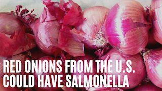 Canadians Are Being Told To Stop Eating Red Onions From The U.S. Due To Salmonella