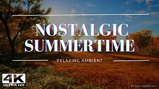 Embrace the Warmth: Nostalgic Summertime Ambiance - Relaxing Forest