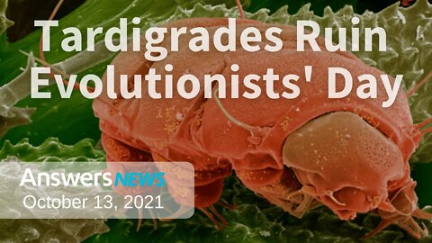 Tardigrades Ruin Evolutionists' Day - Answers News: October 13, 2021