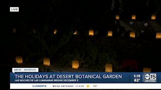 Las Noches de las Luniarias at Desert Botanical Garden