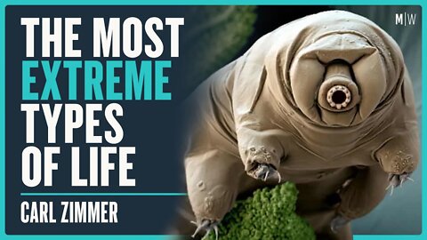 What Are The Weirdest Types Of Life? - Carl Zimmer | Modern Wisdom Podcast 394