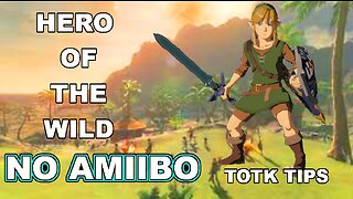 How to get Hero of the Wild set. *NO AMIIBO* Zelda Tears of the Kingdom.