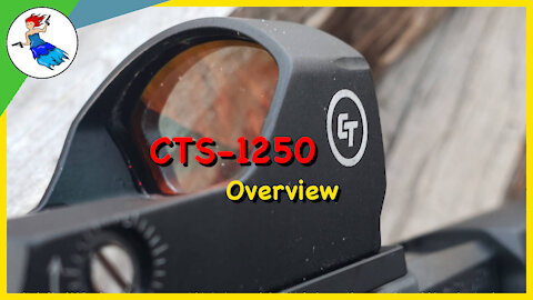 Crimson Trace CTS 1250 Overview and First Shots