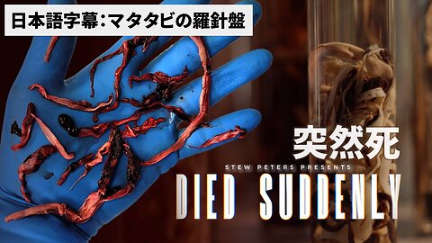 World Premiere: Died Suddenly 突然死 日本語字幕 2022/11/21