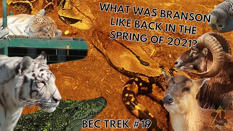 A 3-IN-1 | Turpentine Creek, Promised Land Zoo, and Wild World! | BEC TREK Episode 19