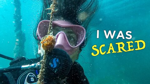 How I Turned My FEAR into LOVE for Scuba Diving