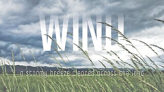 Windy Rain Sounds for Sleep and Relaxing– 2 Hour Loop