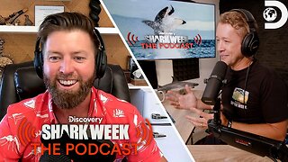 How Many Sharks Are Yet to Be Discovered - Forrest Galante Shark Week The Podcast