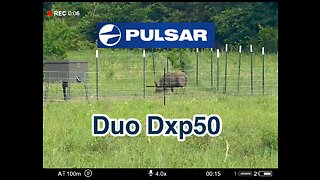 Pulsar duo Dxp50 scope review