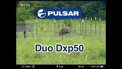 Pulsar duo Dxp50 scope review