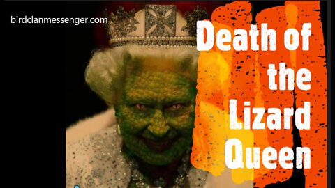 Death of the Lizard Queen, Grand Illusion, Castles Clean, McCaffee Cannibalism, Robert Cray