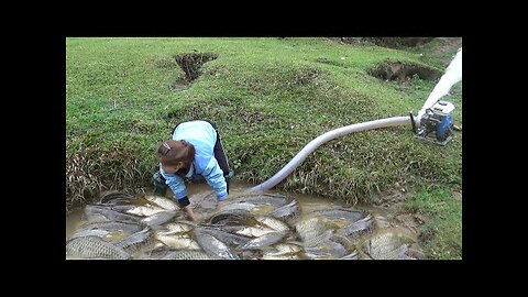 Wild fishing| Use the water pump to drain shallow water in the wild lake and catch lots of fish Ep17