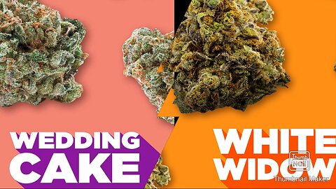 S6 Episode 2 Wedding Cake + White Widow Strain Review