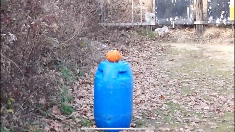 Ruger SR22 vs a pumpkin