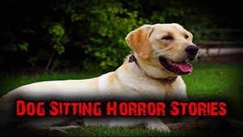 3 Scary True Dog Sitting Horror Stories