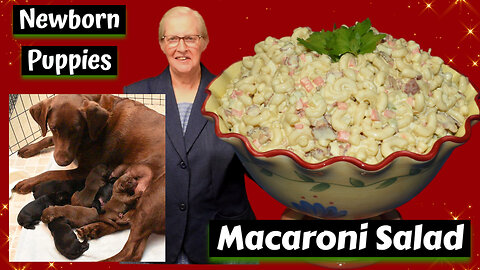 Macaroni Salad: Perfect Make-ahead Dish, A Crowd Pleaser, Labrador Puppies, Inspirational Thought