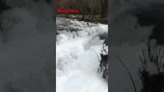 Beautiful nature, waterfalls, water sound. Šibenik, Krka National park , Croatia 🇭🇷 , P-2