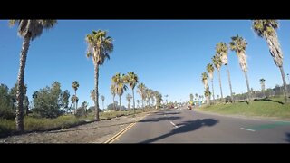 Blasian Babies DaDa N Harbor Dr To Nimitz Blvd To Sea World Dr (1440 48fps)