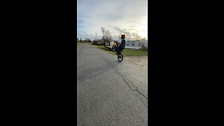 Surron wheelies!