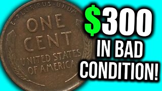 SUPER EXPENSIVE OLD PENNY COINS TO LOOK FOR!! 1914 WHEAT PENNIES WORTH MONEY