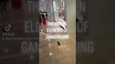 The Unseen Elements of Gangstalking
