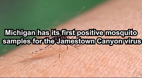 Michigan has its first positive mosquito samples for the Jamestown Canyon virus