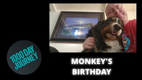 1000 Day Journey 0163 Pet Sitting and Monkey's Birthday
