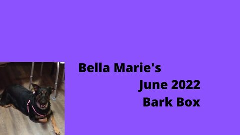 Bella's June's 2022 Bark Box