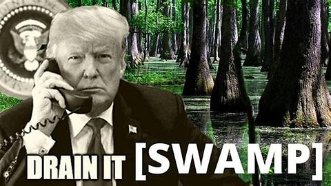 BREAKING: The Swamp is Being Drained! Now Comes The Pain!
