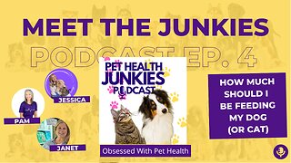 PET HEALTH JUNKIES: How Much Should I Be Feeding My Dog or Cat?
