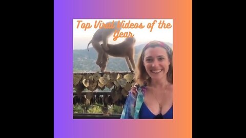 Top Viral Videos of the Year