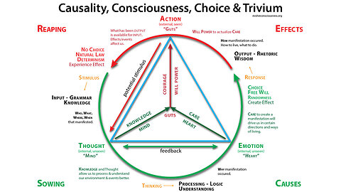 Causality, Consciousness, Natural Law and the Trivium Method