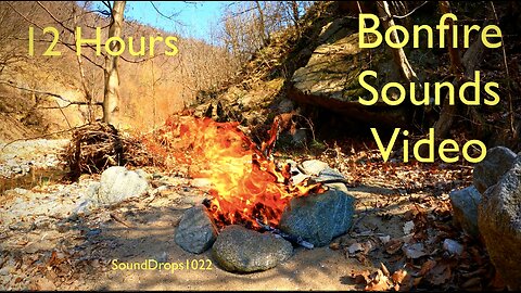 12-Hour Bonfire Meditation | Nature’s Lullaby and Crackling Fire