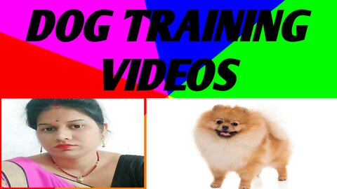 Dog training is career that combines video intrested
