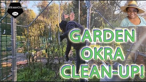 #okra BIN #garden #cleanup - #catshobbycorner