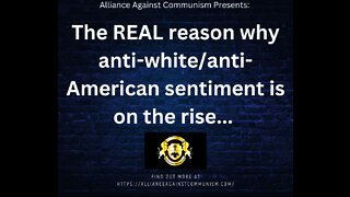The Real Reason why Anti-White/Anti-American Sentiment is on the Rise...