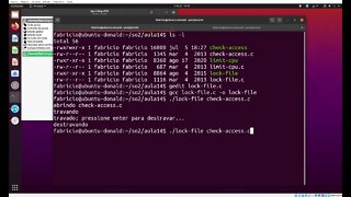 lock-file.c - Cria uma Trava de Escrita com fcntl no Linux