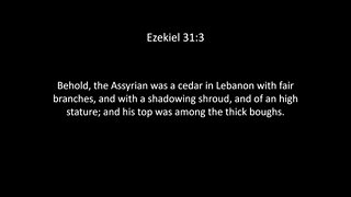 Ezekiel Chapter 31