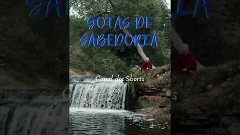 💧Gotas de sabedoria🙏🧙‍♂️ 07 #shorts