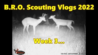B.R.O. Scouting Vlogs 2022! Week 3...