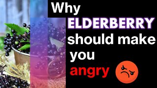 Why Elderberry should make you angry!