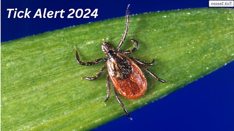 Tick Alert 2024: Stay Safe with Expert Tips!