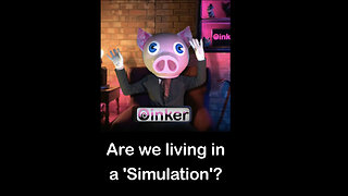 Oinker Poll - Simulation Theory